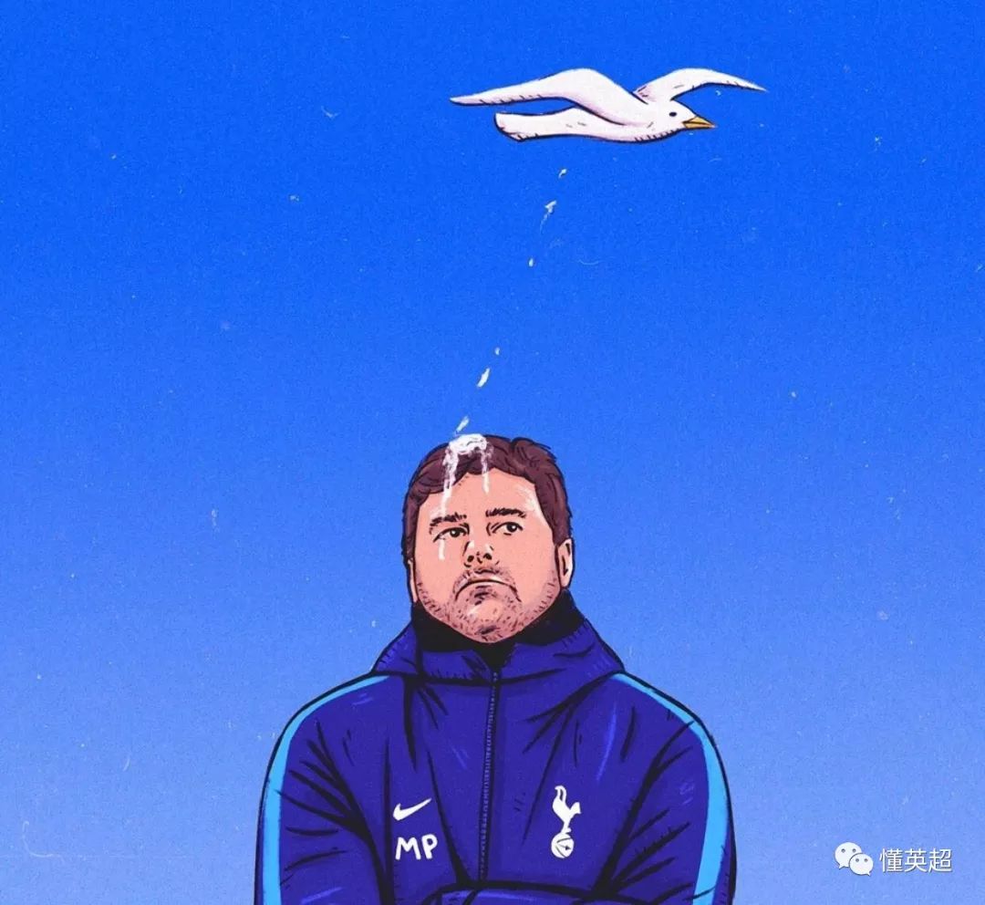 今晨演过的电视剧